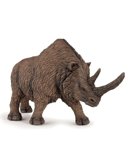 Rhinocéros laineux