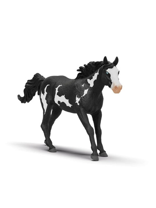 Horse club - Hongre paint horse