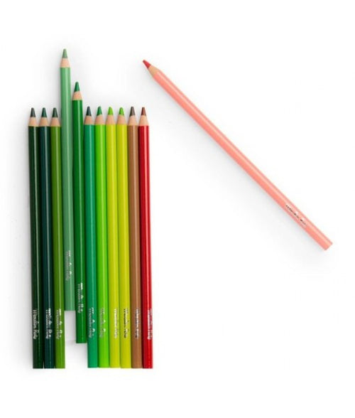 12 crayons de couleur Nature et cartes Le botaniste