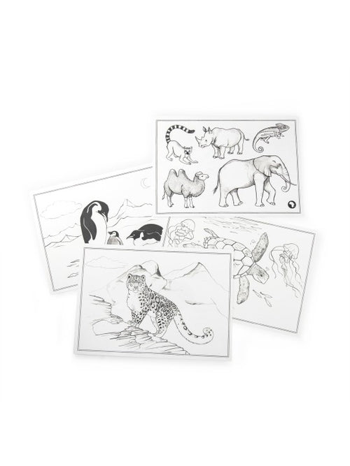 24 modèles de dessin Kidywolf Les Toupitis